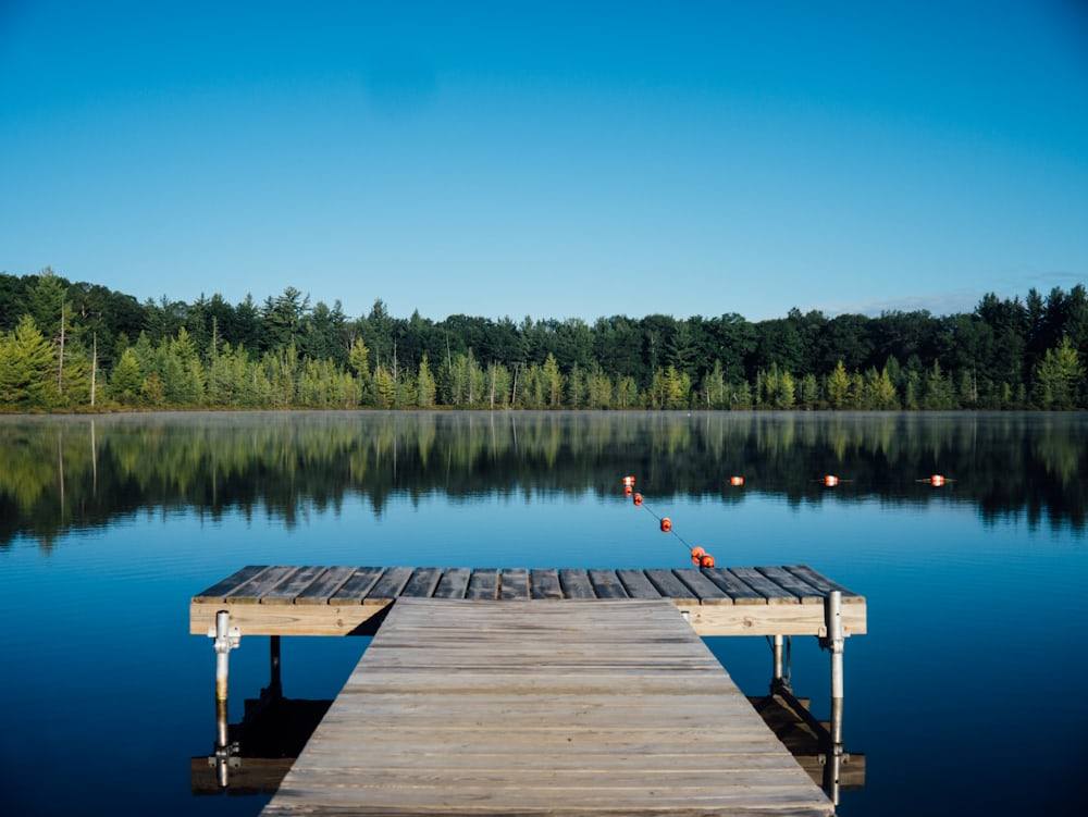 The dock below Kingfisher, still water at first light