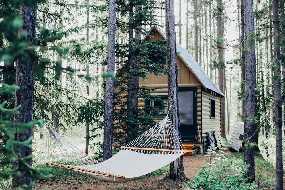Sycamore cabin with the hammock strung out front