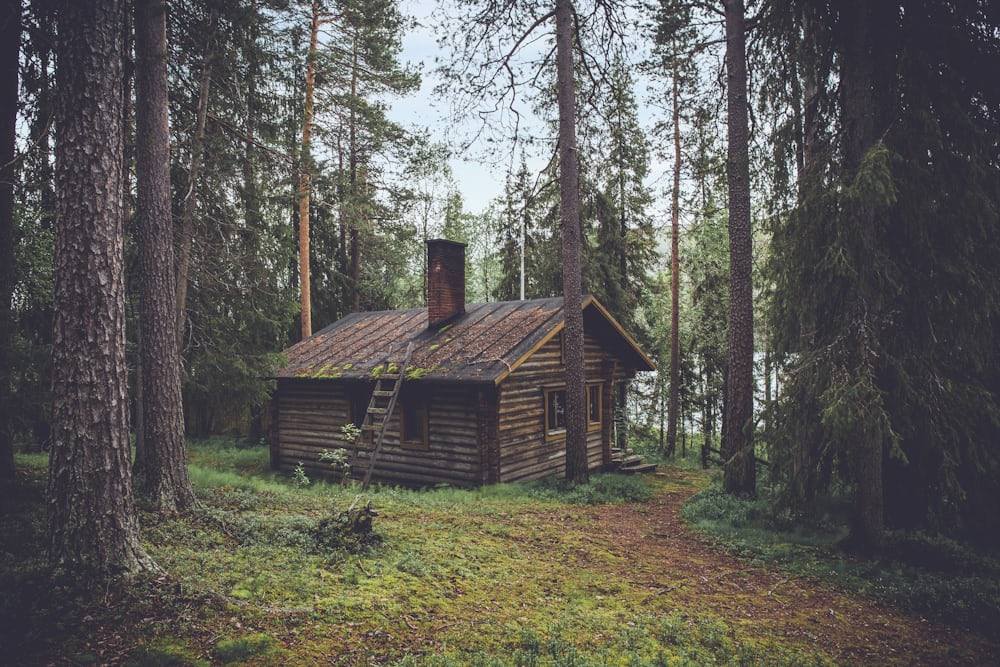 Walnut cabin tucked deep under the trees